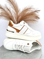 Sneakers Donna Alviero Martini N21430289