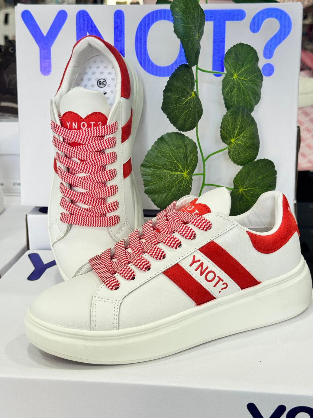 Sneakers Ynot Donna Vari colori 4520/ 4500